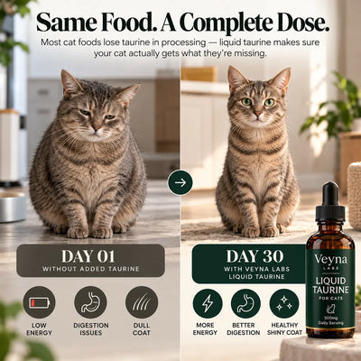 Liquid Taurine For Cats