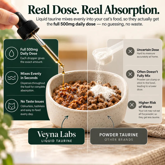 Liquid Taurine For Cats