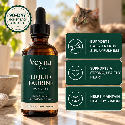 Liquid Taurine For Cats