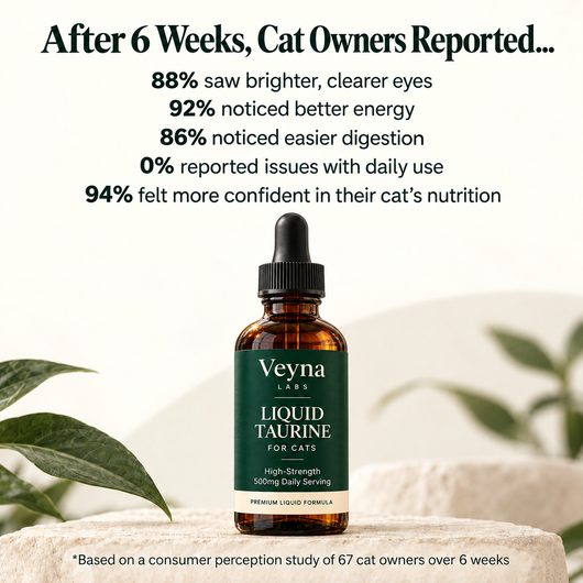 Liquid Taurine For Cats