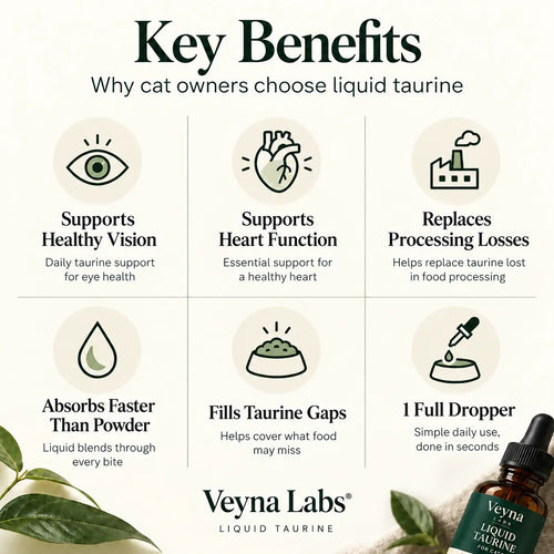 Liquid Taurine For Cats