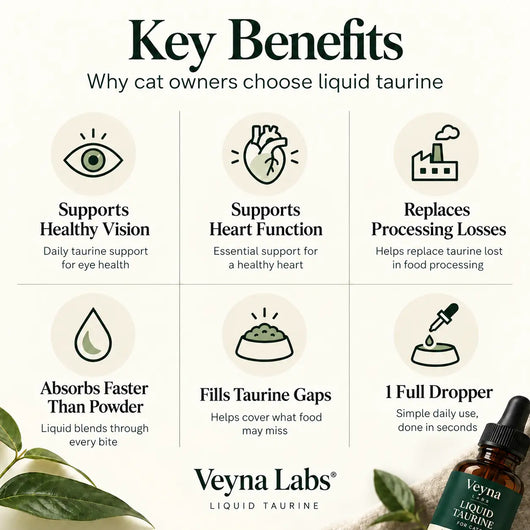 Liquid Taurine For Cats